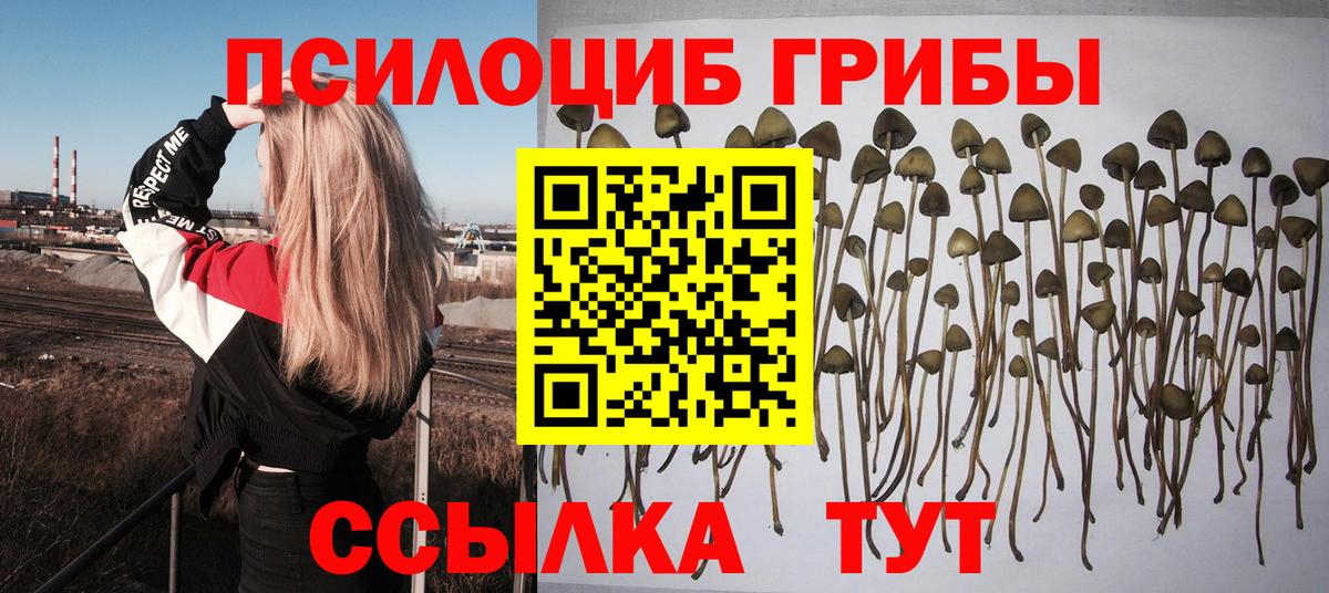 Псилоцибиновые грибы мицелий  Вход с VPN  Екатеринбург 