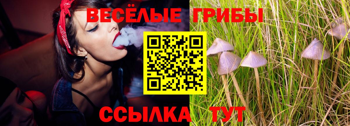 Псилоцибиновые грибы MAGIC MUSHROOMS Екатеринбург